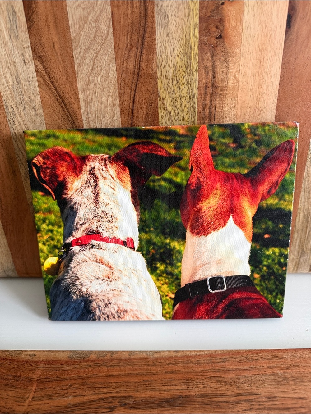 Back View Dog Canvas Photograph in Red and Brown
